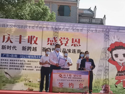 連南第八屆稻魚茶文化活動(dòng)周盛大開幕，推動(dòng)文化藝術(shù)交流新篇章